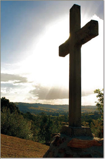 image14