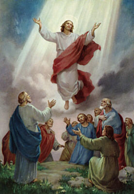 image18