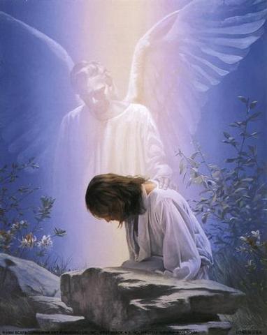 image23