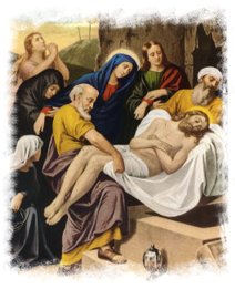 image24