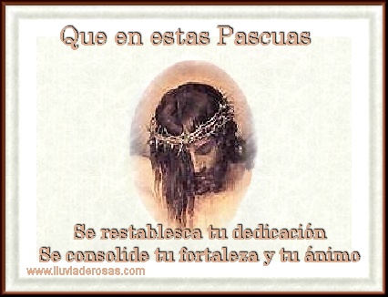 tarjetas web de lluvia de rosas fortaleza y animo