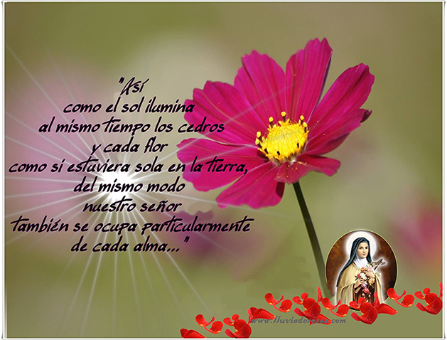 Dios Cuida de Ti