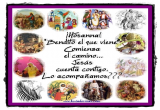 Semana Santa