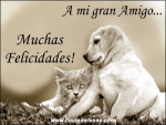 A Mi Gran Amigo
