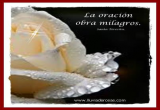 La Oracin Obra Milagros