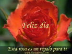 Feliz da