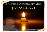 Vivelo!