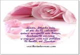 Petalos de Amor