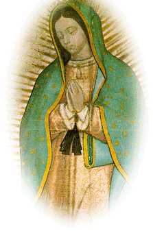Virgen de Guadalupe